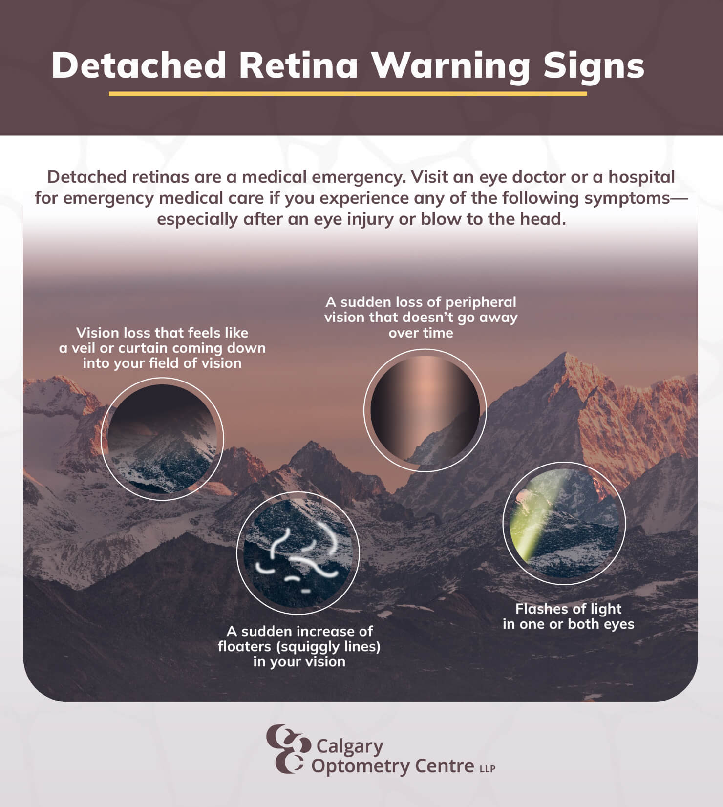 can-an-optometrist-detect-retinal-detachment