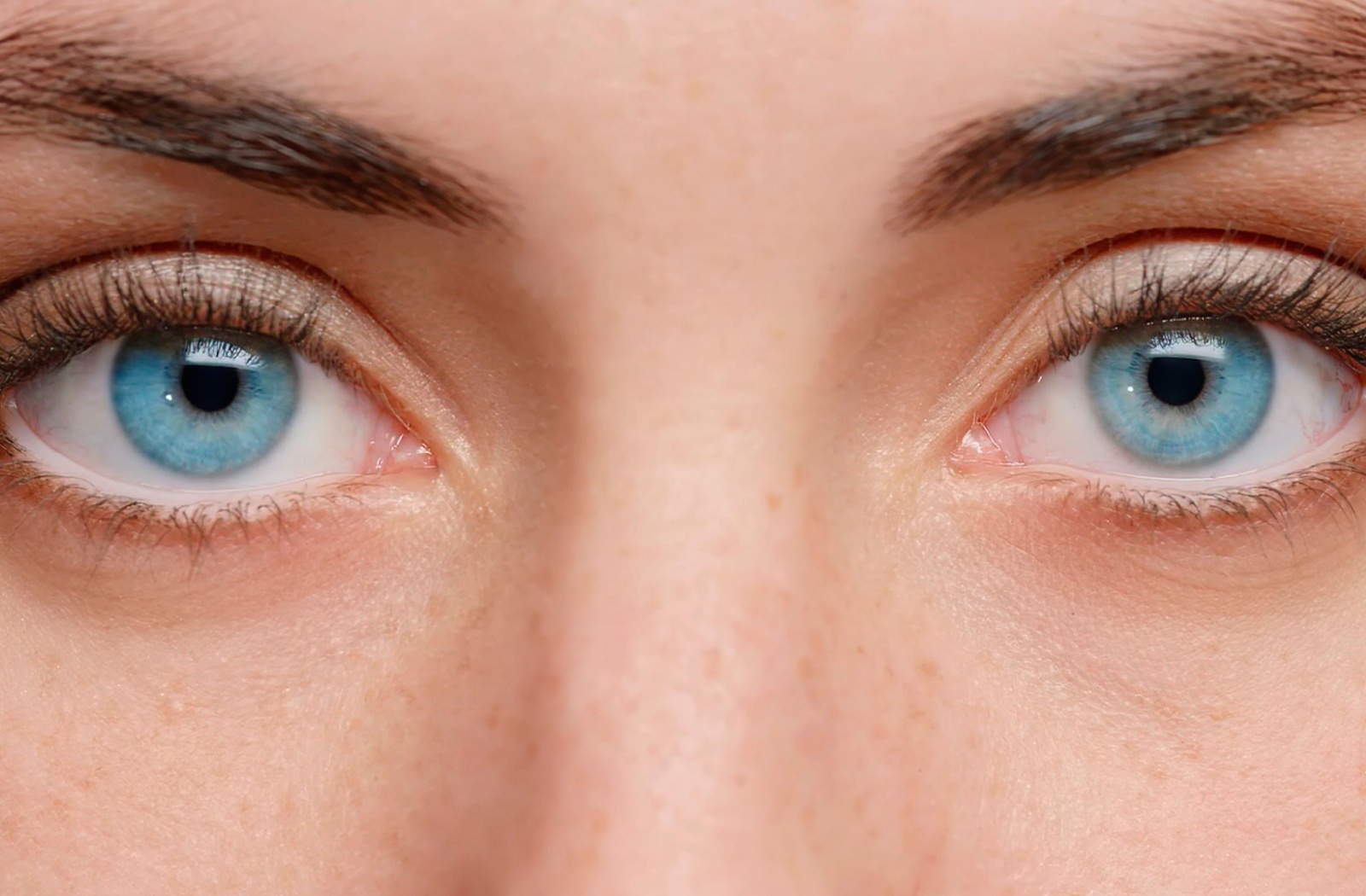 An intense close-up of piercing blue eyes.